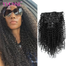 Kinky Curly Brazilian Virgin Hair Clip in Extension